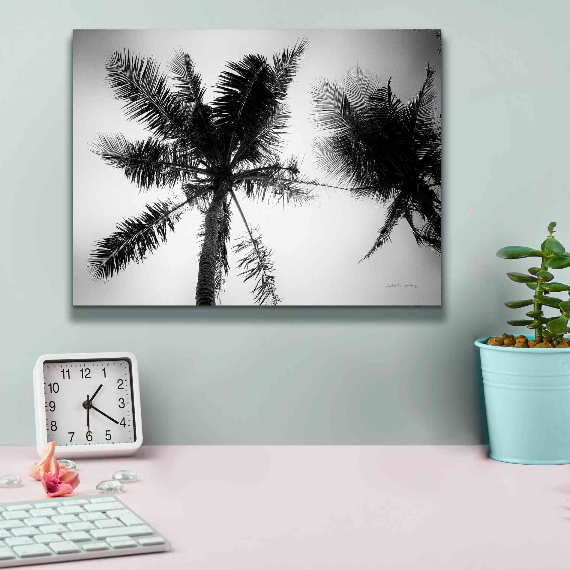 'Palm Tree Looking Up II' by Debra Van Swearingen, Canvas Wall Art,16 x 12