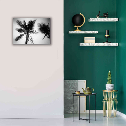 Image of 'Palm Tree Looking Up II' by Debra Van Swearingen, Canvas Wall Art,26 x 18