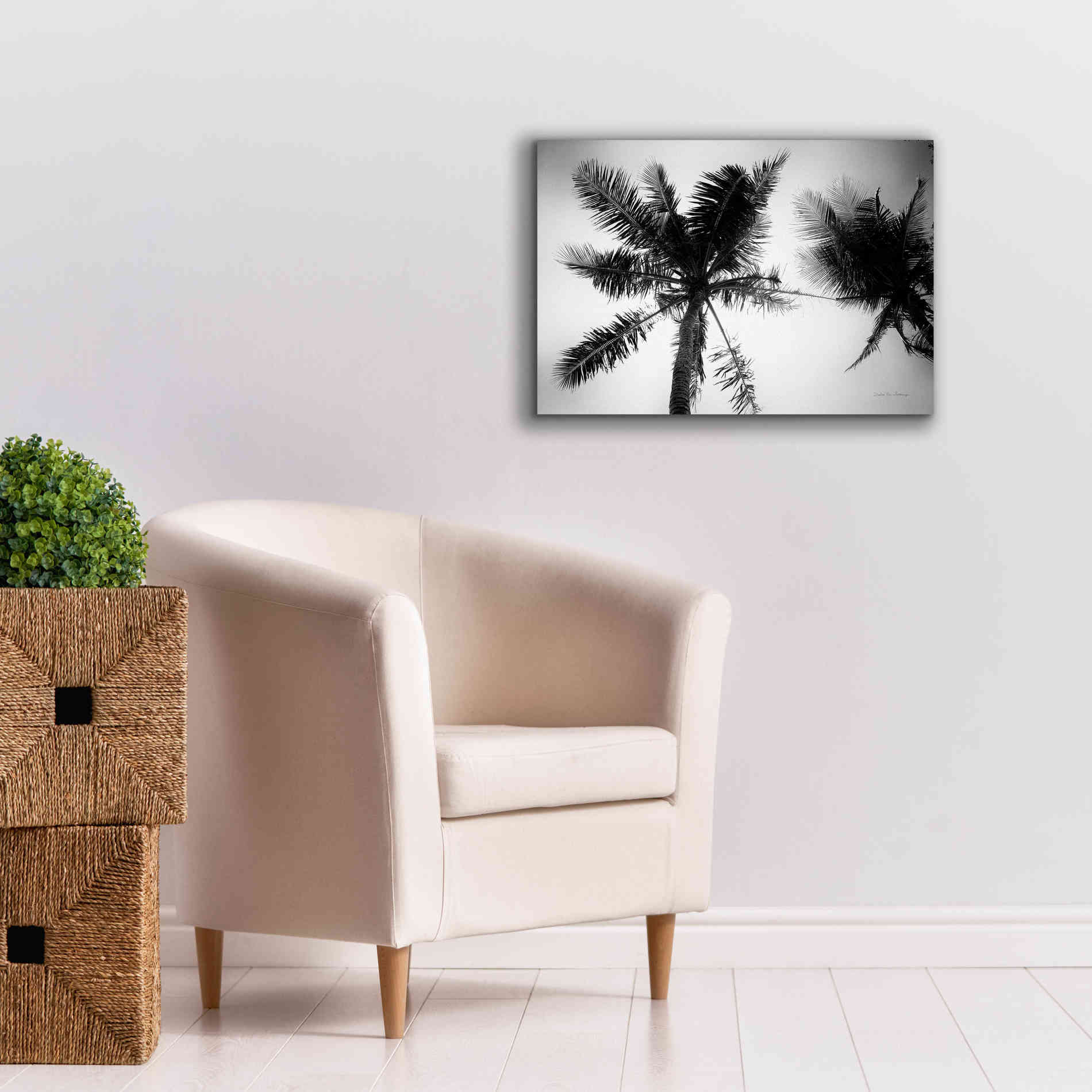 'Palm Tree Looking Up II' by Debra Van Swearingen, Canvas Wall Art,26 x 18