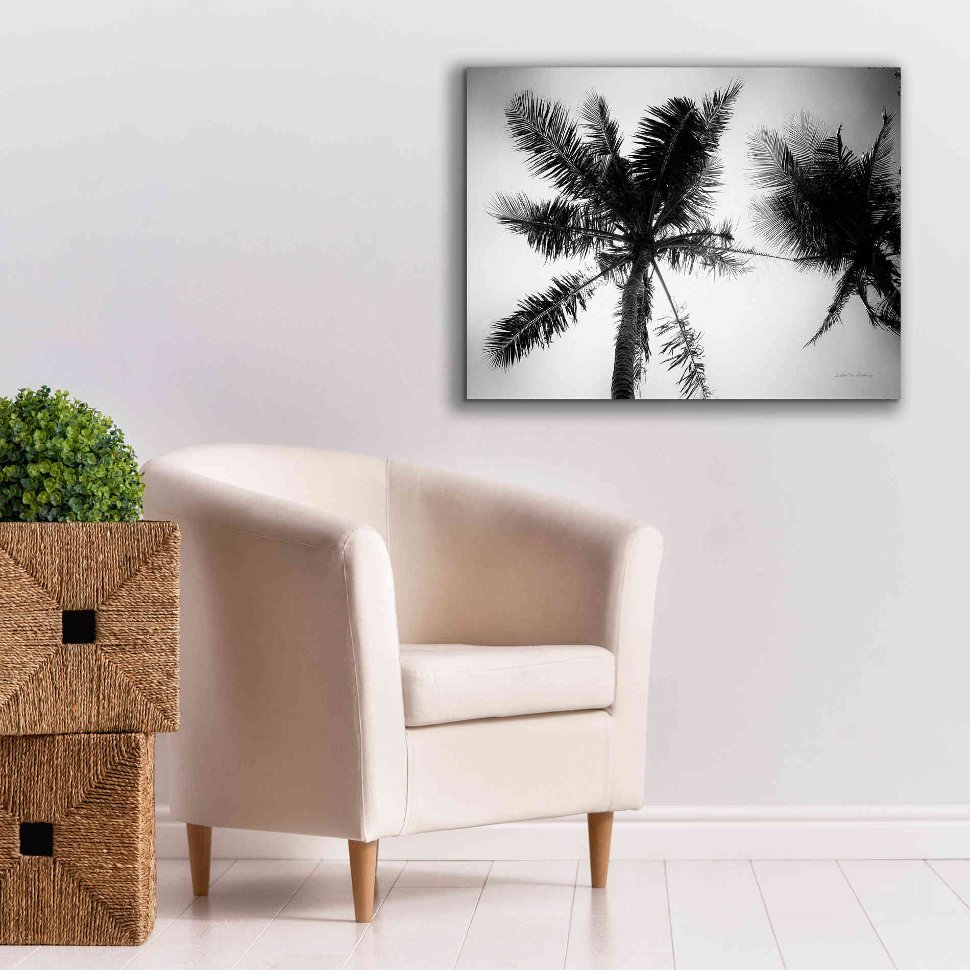 'Palm Tree Looking Up II' by Debra Van Swearingen, Canvas Wall Art,34 x 26