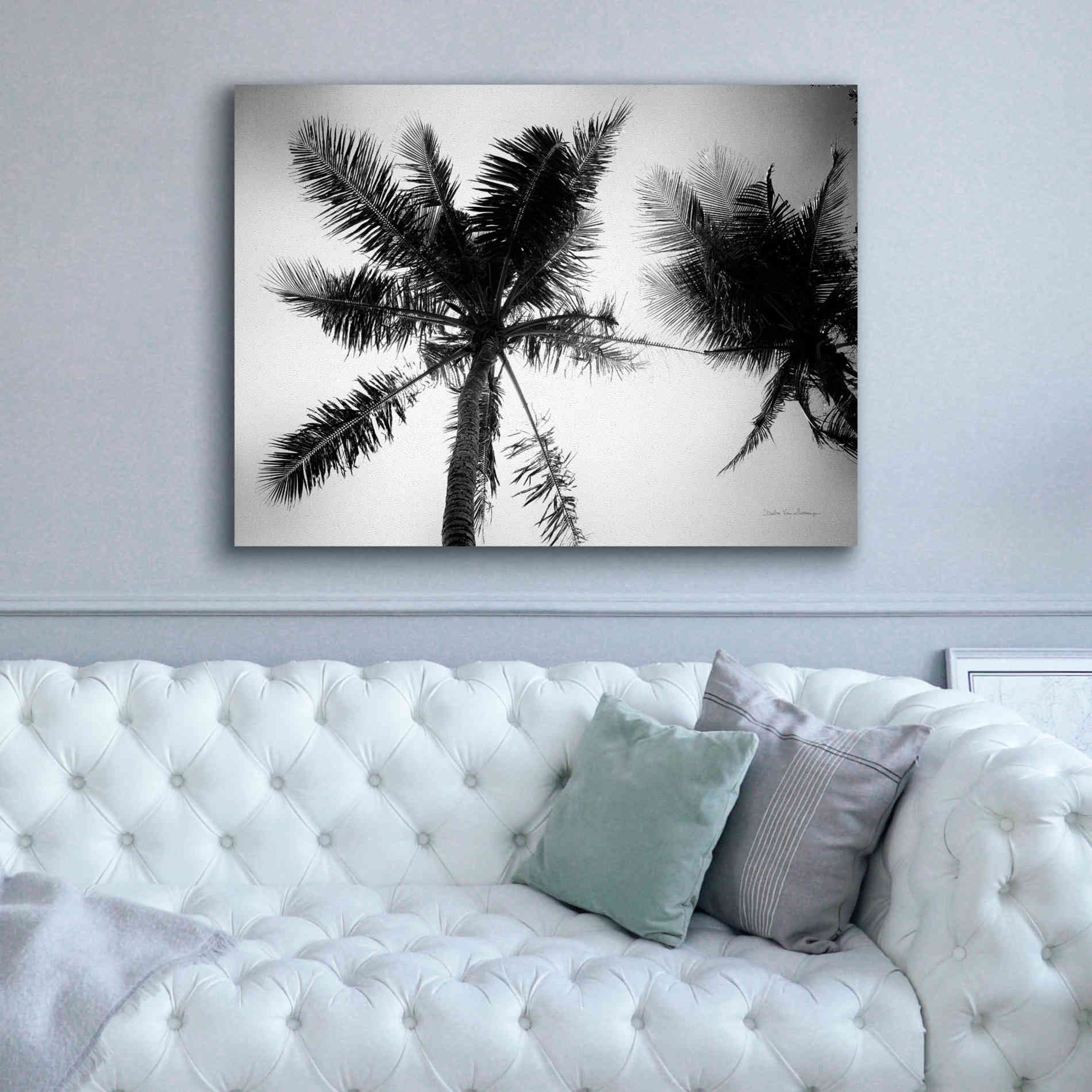 'Palm Tree Looking Up II' by Debra Van Swearingen, Canvas Wall Art,54 x 40