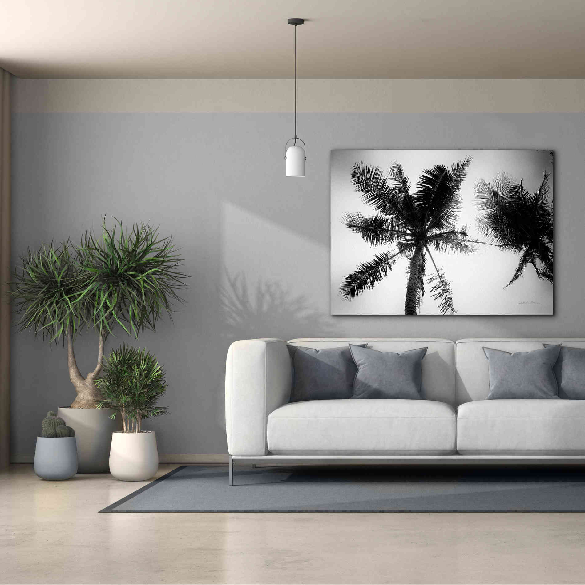 'Palm Tree Looking Up II' by Debra Van Swearingen, Canvas Wall Art,54 x 40