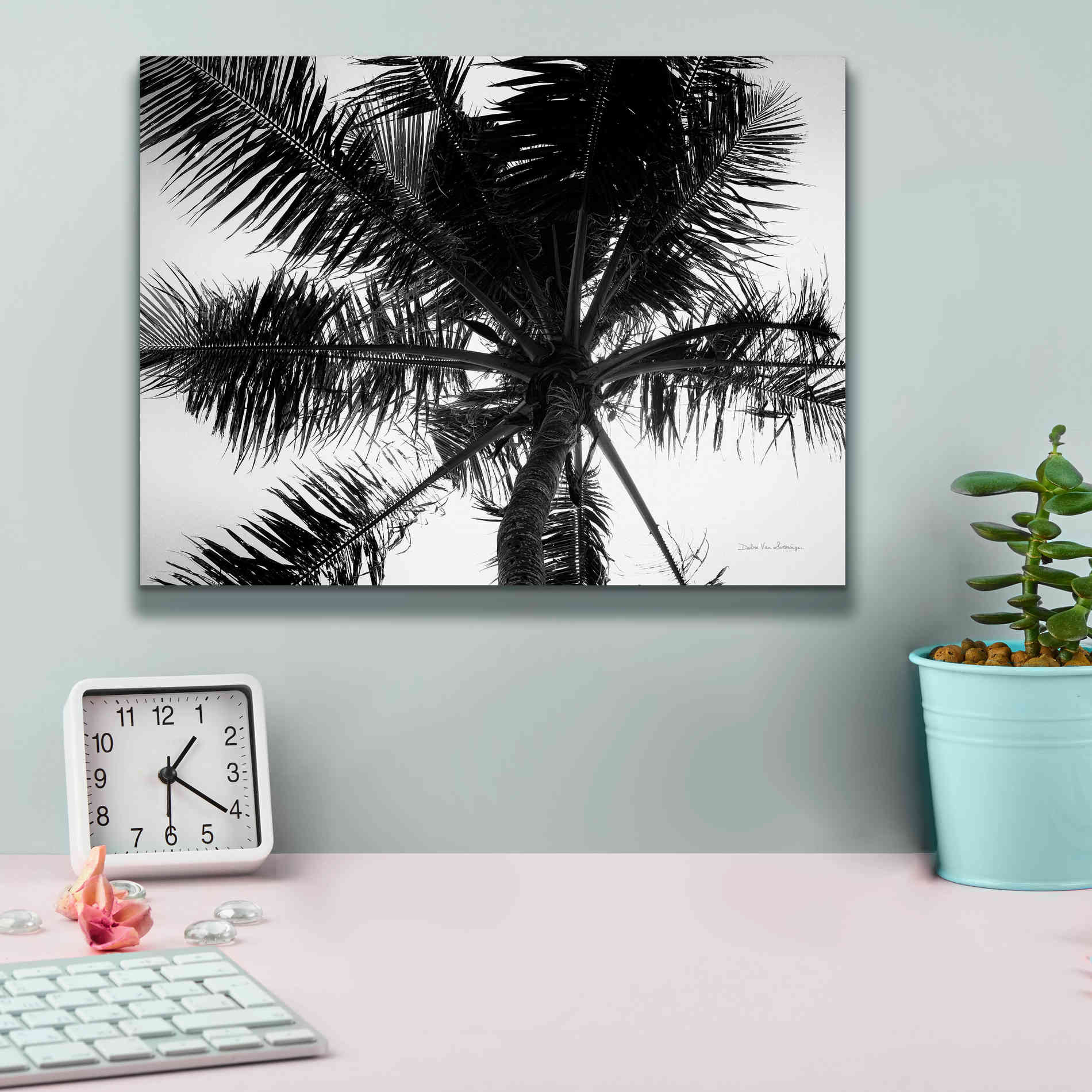 'Palm Tree Looking Up III' by Debra Van Swearingen, Canvas Wall Art,16 x 12