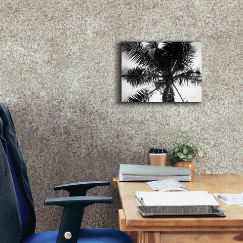 Image of 'Palm Tree Looking Up III' by Debra Van Swearingen, Canvas Wall Art,16 x 12