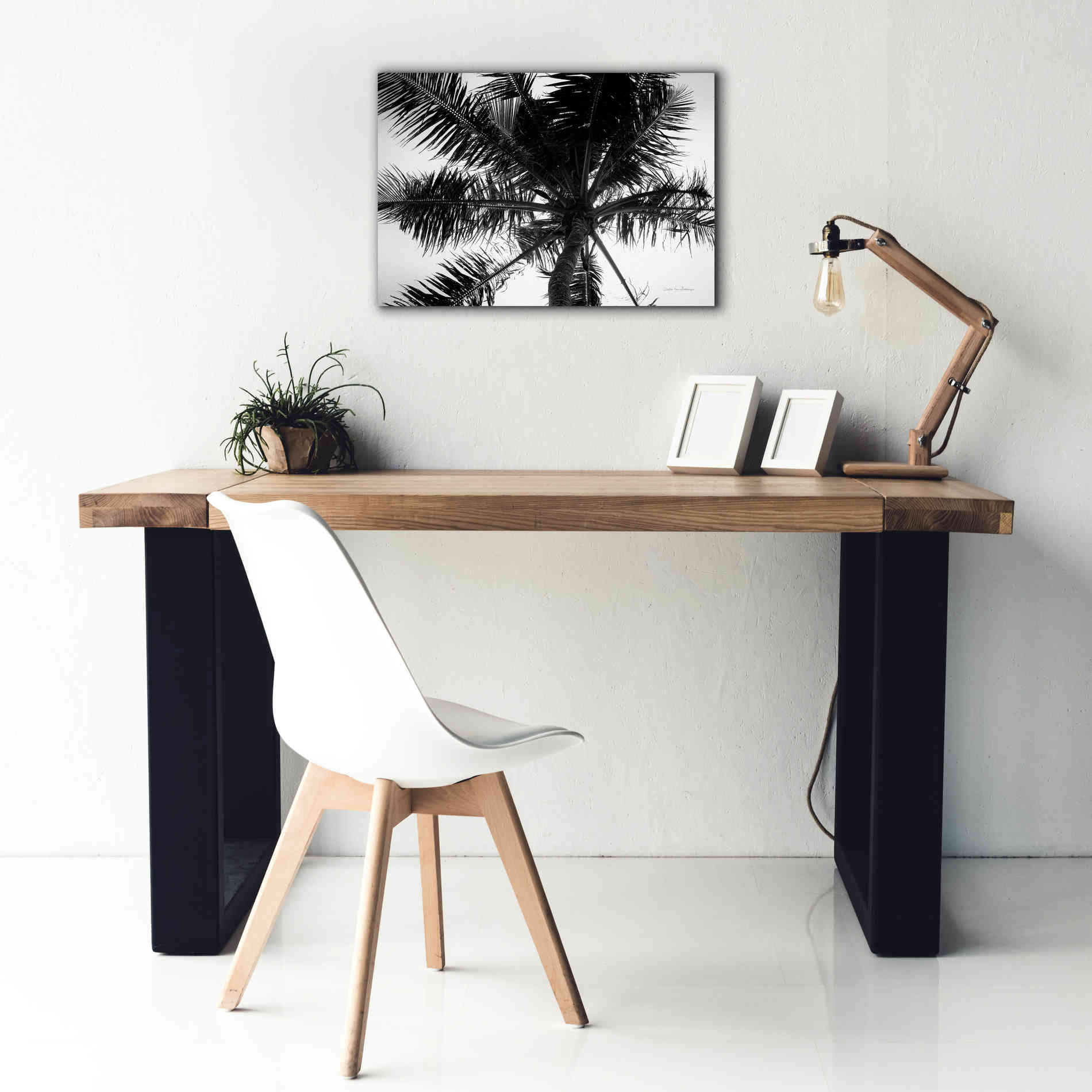 'Palm Tree Looking Up III' by Debra Van Swearingen, Canvas Wall Art,26 x 18