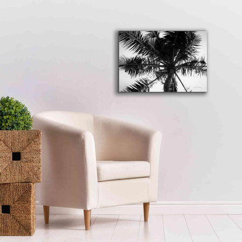 Image of 'Palm Tree Looking Up III' by Debra Van Swearingen, Canvas Wall Art,26 x 18
