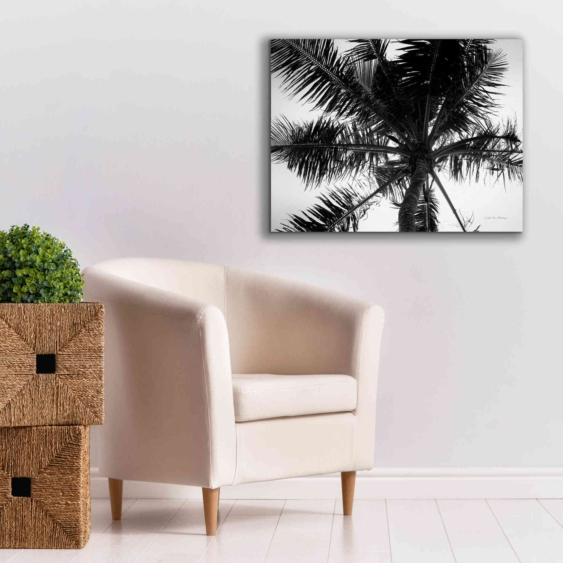 'Palm Tree Looking Up III' by Debra Van Swearingen, Canvas Wall Art,34 x 26