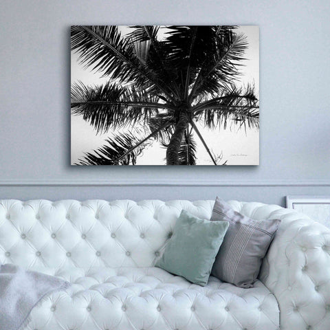 Image of 'Palm Tree Looking Up III' by Debra Van Swearingen, Canvas Wall Art,54 x 40