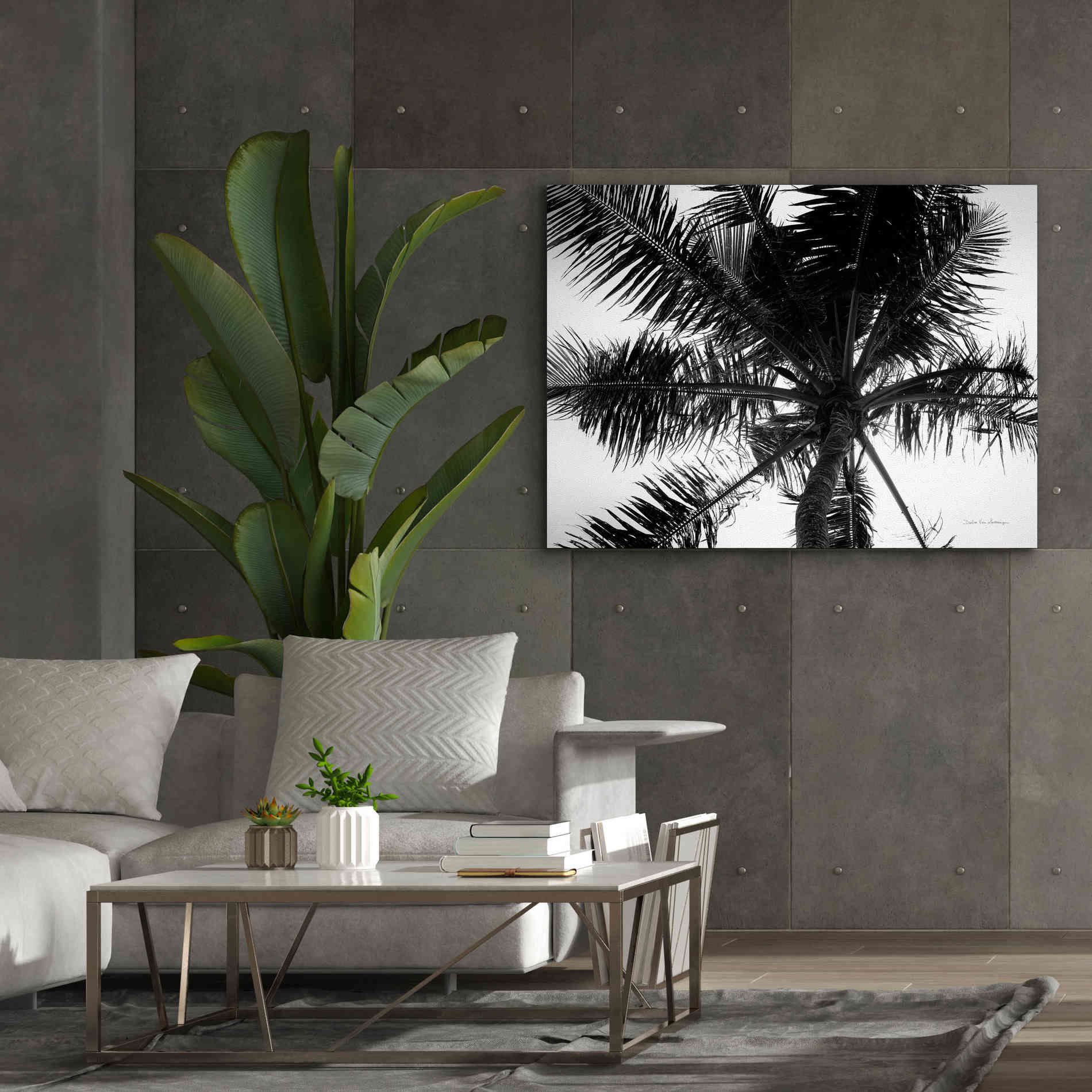 'Palm Tree Looking Up III' by Debra Van Swearingen, Canvas Wall Art,54 x 40