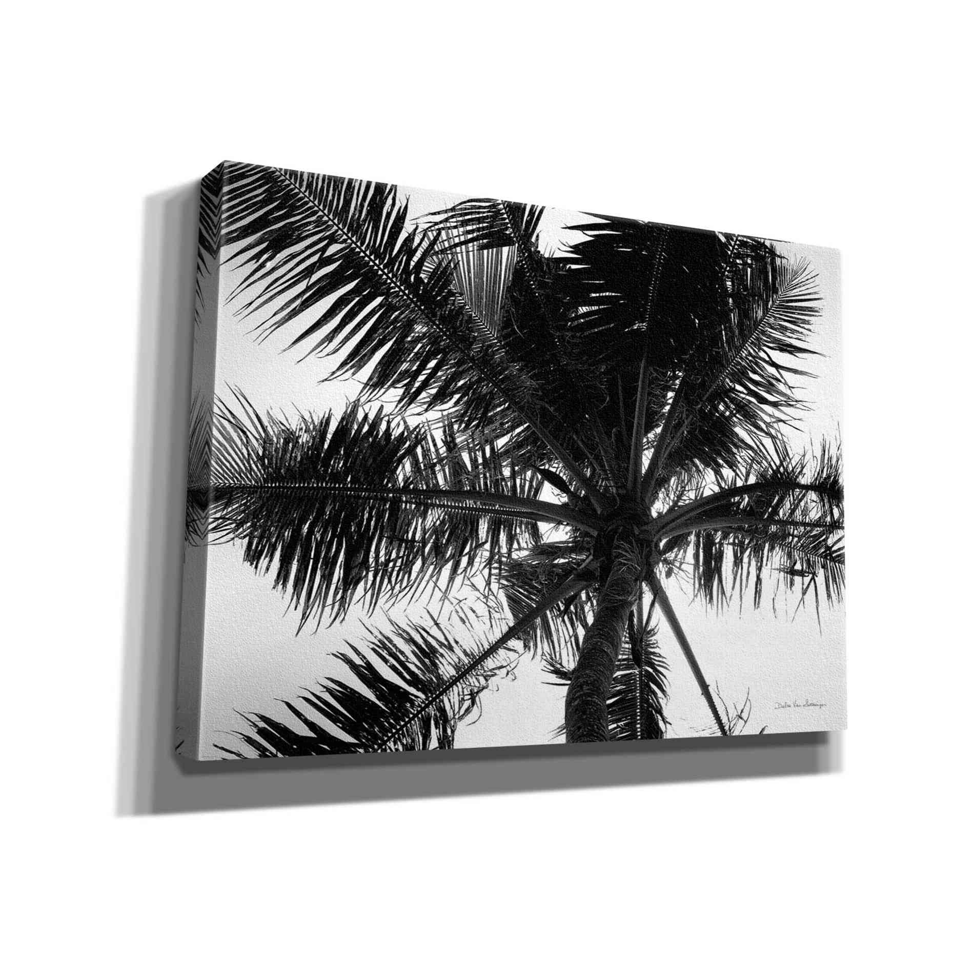 'Palm Tree Looking Up III' by Debra Van Swearingen, Canvas Wall Art,16x12x1.1x0,26x18x1.1x0,34x26x1.74x0,54x40x1.74x0