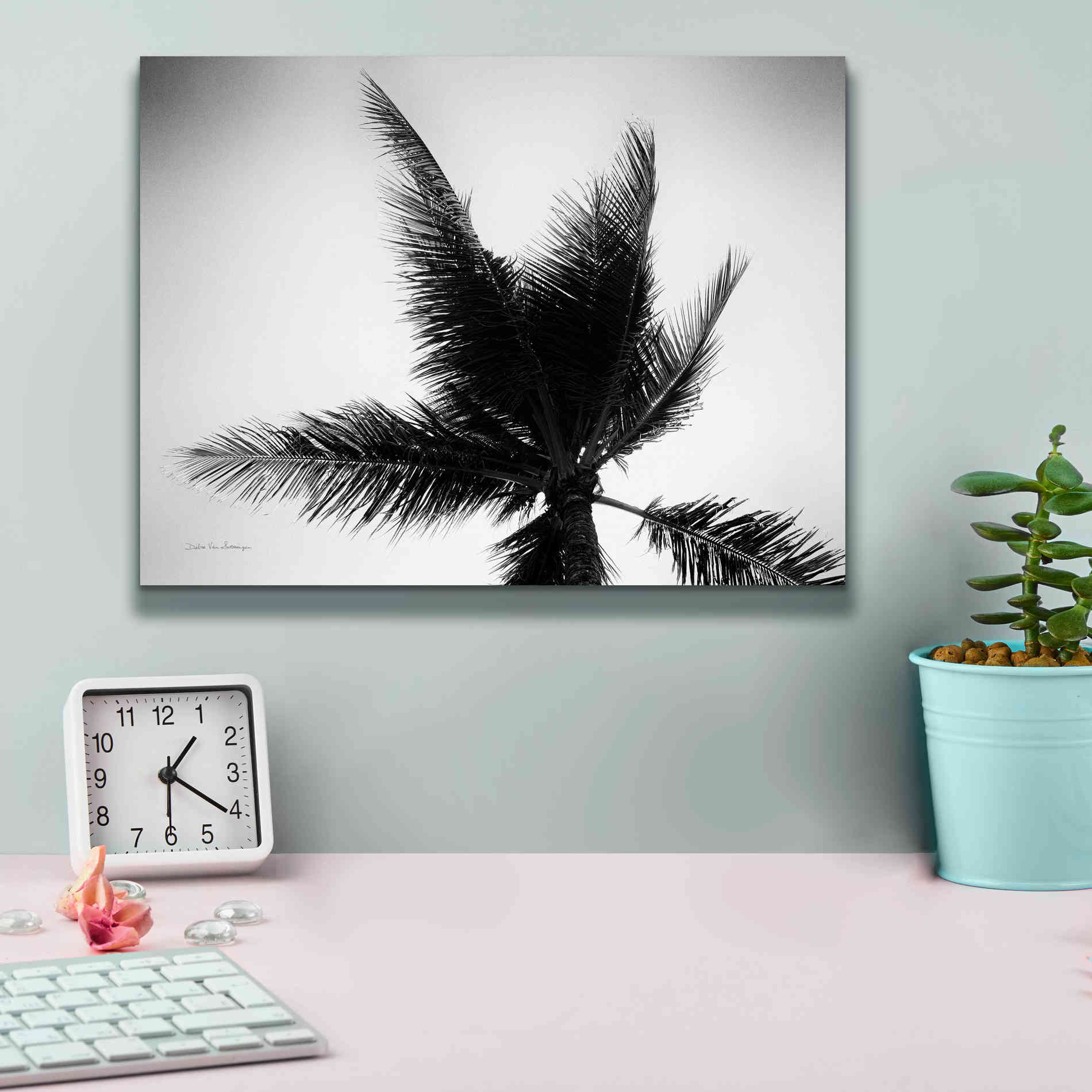 'Palm Tree Looking Up IV' by Debra Van Swearingen, Canvas Wall Art,16 x 12