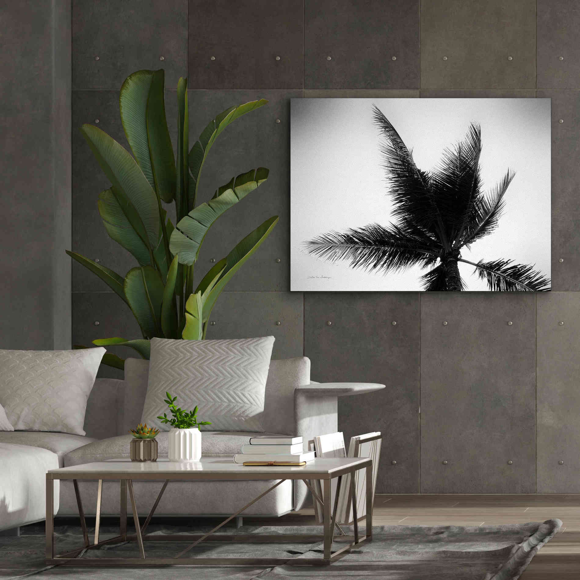 'Palm Tree Looking Up IV' by Debra Van Swearingen, Canvas Wall Art,54 x 40