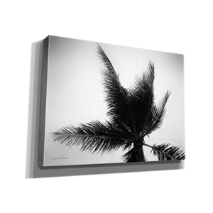'Palm Tree Looking Up IV' by Debra Van Swearingen, Canvas Wall Art,16x12x1.1x0,26x18x1.1x0,34x26x1.74x0,54x40x1.74x0