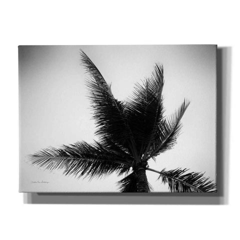Image of 'Palm Tree Looking Up IV' by Debra Van Swearingen, Canvas Wall Art,16x12x1.1x0,26x18x1.1x0,34x26x1.74x0,54x40x1.74x0