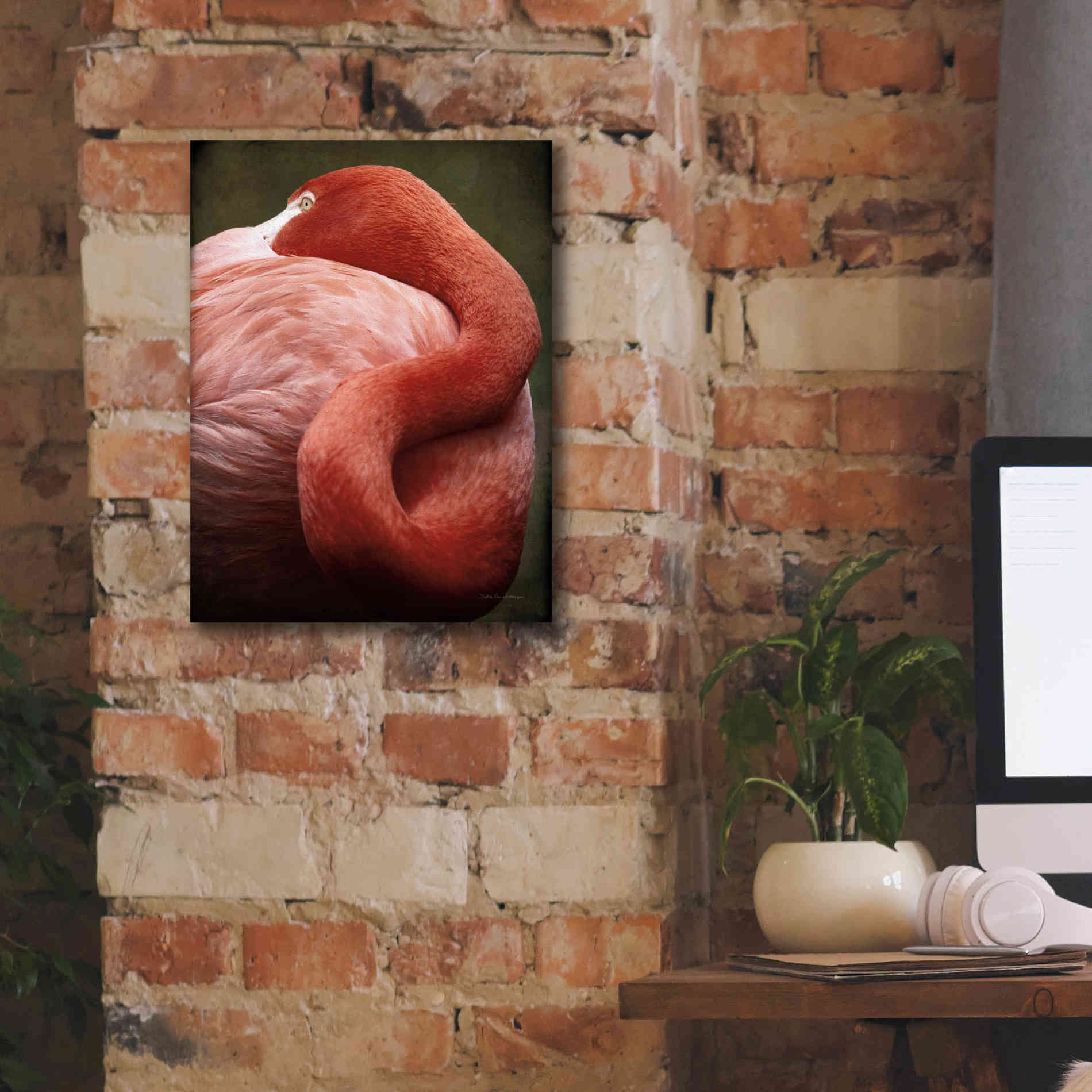 'Caribbean Flamingo I' by Debra Van Swearingen, Canvas Wall Art,12 x 16