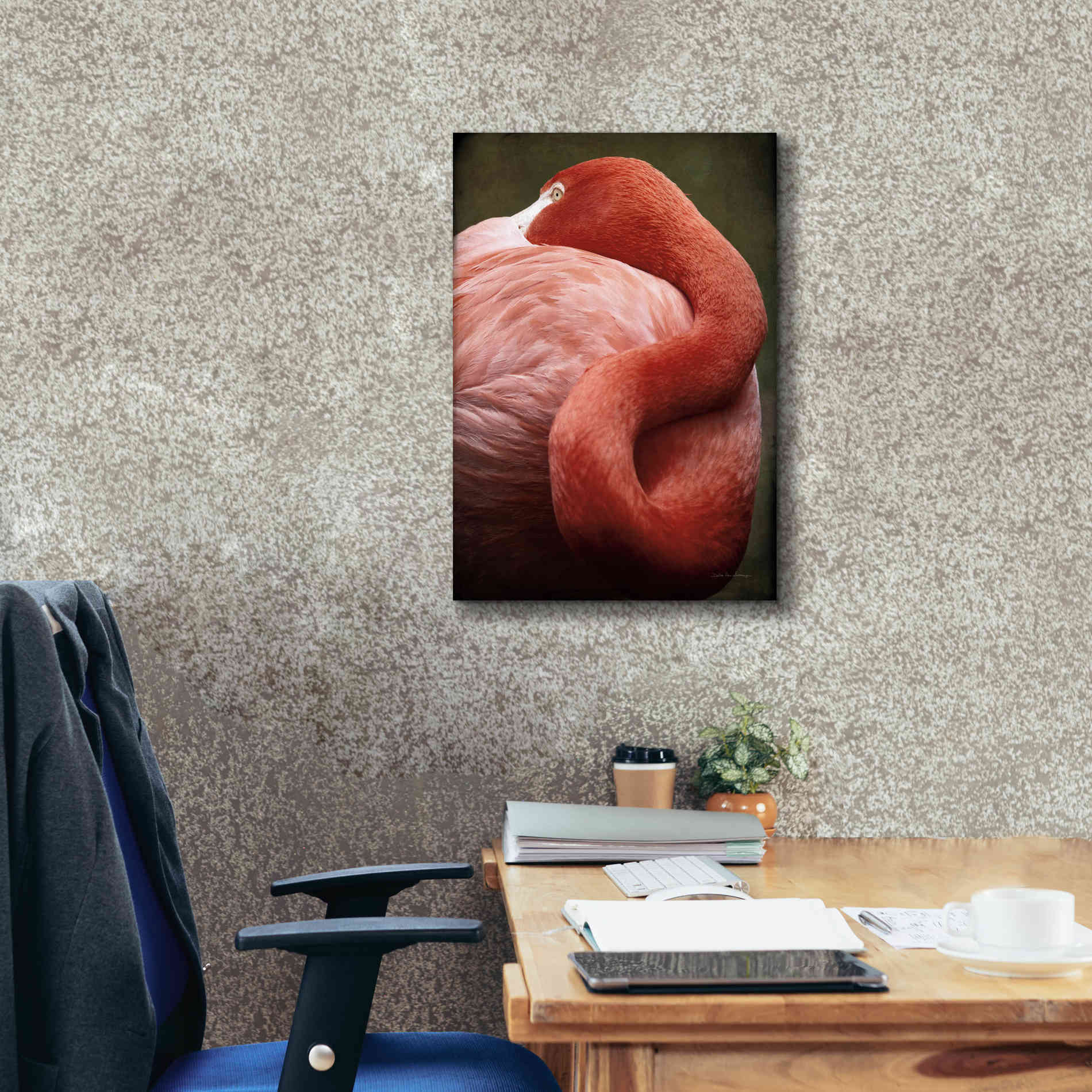 'Caribbean Flamingo I' by Debra Van Swearingen, Canvas Wall Art,18 x 26