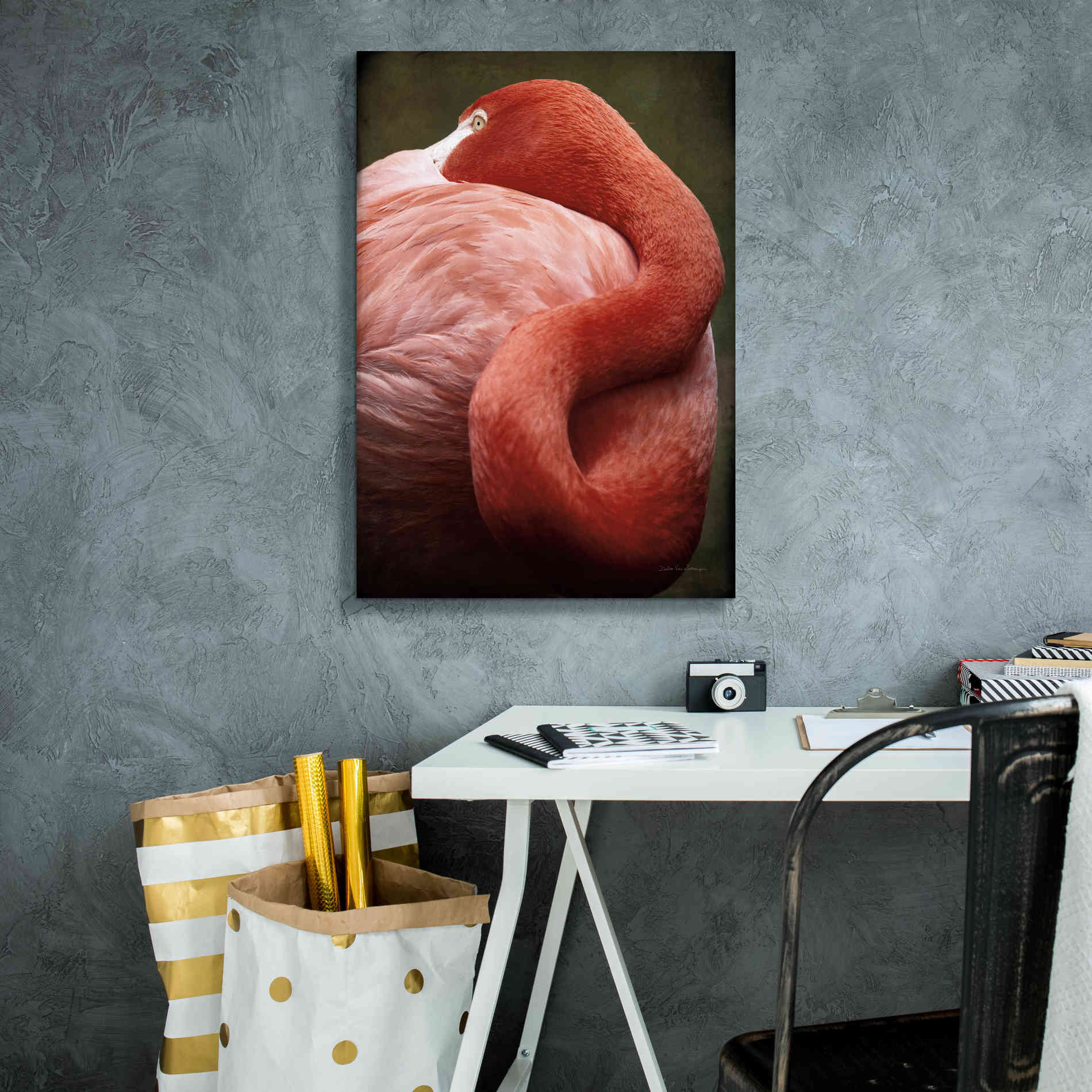 'Caribbean Flamingo I' by Debra Van Swearingen, Canvas Wall Art,18 x 26