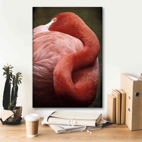 Image of 'Caribbean Flamingo I' by Debra Van Swearingen, Canvas Wall Art,18 x 26