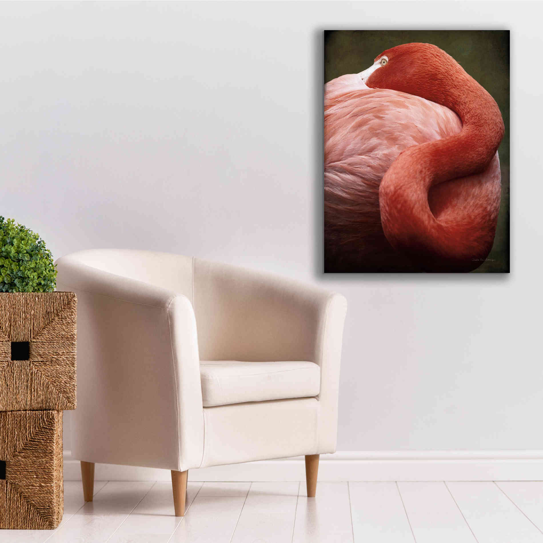 'Caribbean Flamingo I' by Debra Van Swearingen, Canvas Wall Art,26 x 34