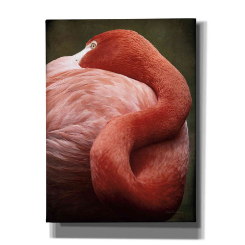 Image of 'Caribbean Flamingo I' by Debra Van Swearingen, Canvas Wall Art,12x16x1.1x0,18x26x1.1x0,26x34x1.74x0,40x54x1.74x0