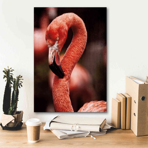 Image of 'Caribbean Flamingo II' by Debra Van Swearingen, Canvas Wall Art,18 x 26