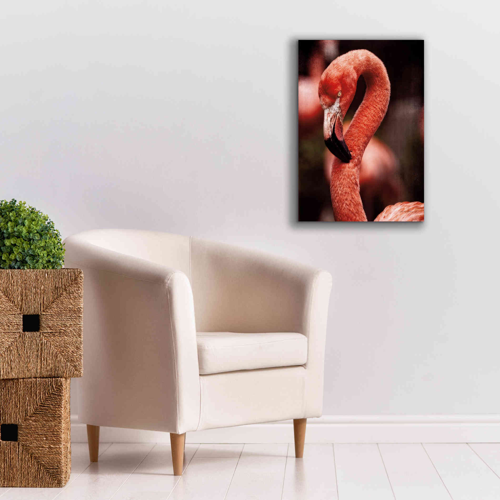 'Caribbean Flamingo II' by Debra Van Swearingen, Canvas Wall Art,18 x 26