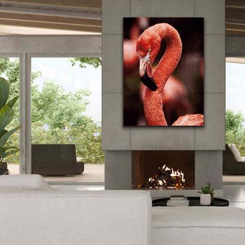 Image of 'Caribbean Flamingo II' by Debra Van Swearingen, Canvas Wall Art,40 x 54