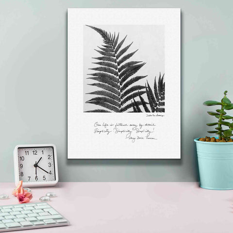 Image of 'Delicate Fern v2' by Debra Van Swearingen, Canvas Wall Art,12 x 16