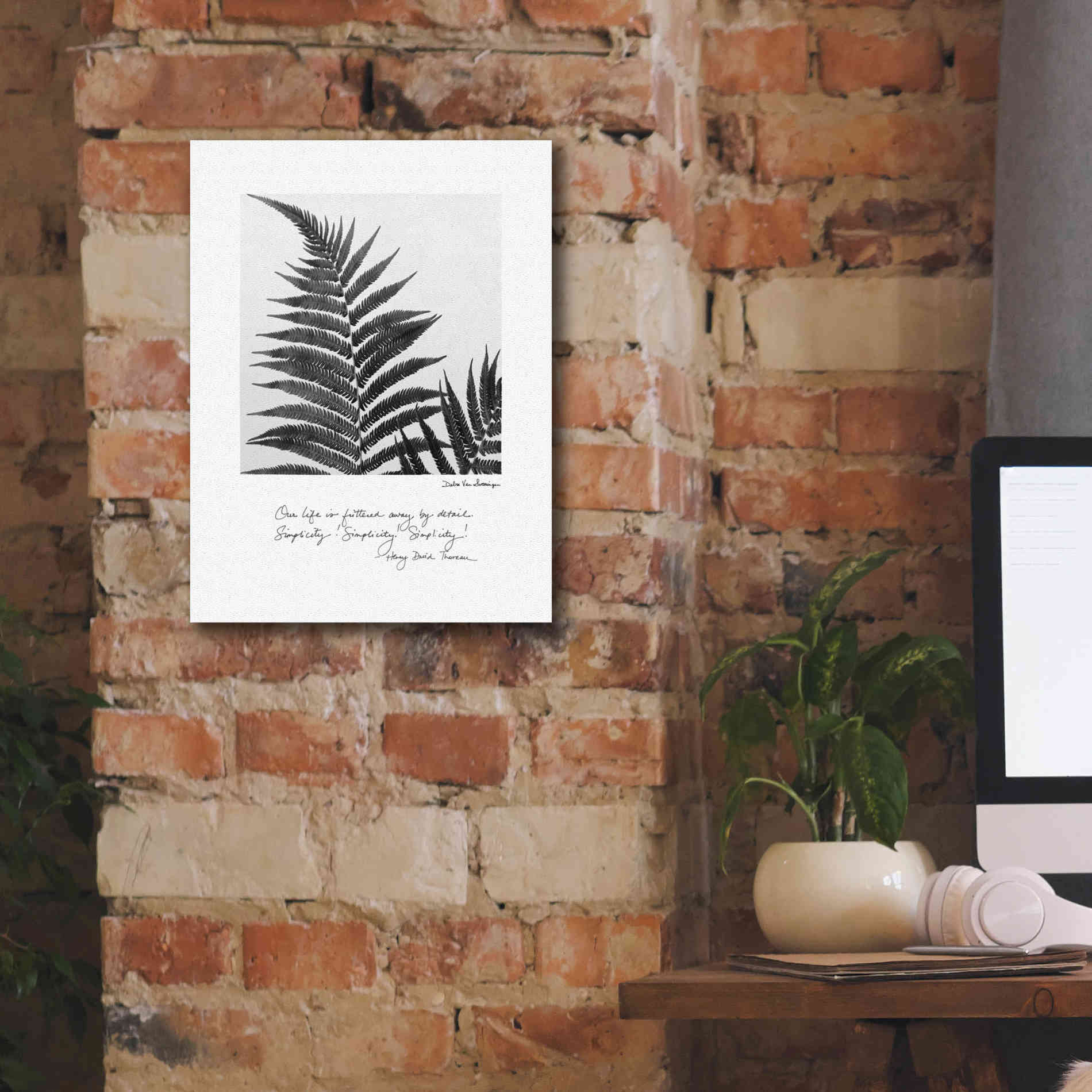 'Delicate Fern v2' by Debra Van Swearingen, Canvas Wall Art,12 x 16