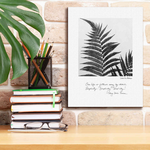 Image of 'Delicate Fern v2' by Debra Van Swearingen, Canvas Wall Art,12 x 16