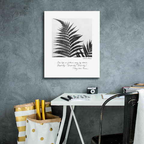 Image of 'Delicate Fern v2' by Debra Van Swearingen, Canvas Wall Art,20 x 24