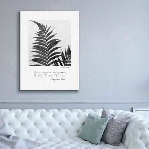 Image of 'Delicate Fern v2' by Debra Van Swearingen, Canvas Wall Art,40 x 54