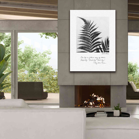 Image of 'Delicate Fern v2' by Debra Van Swearingen, Canvas Wall Art,40 x 54