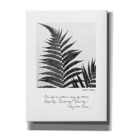 'Delicate Fern v2' by Debra Van Swearingen, Canvas Wall Art,12x16x1.1x0,20x24x1.1x0,26x30x1.74x0,40x54x1.74x0