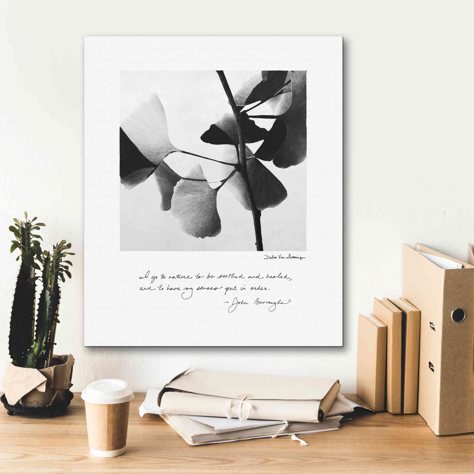 'Delicate Ginkgo v2' by Debra Van Swearingen, Canvas Wall Art,20 x 24