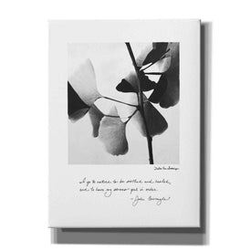 'Delicate Ginkgo v2' by Debra Van Swearingen, Canvas Wall Art,12x16x1.1x0,20x24x1.1x0,26x30x1.74x0,40x54x1.74x0