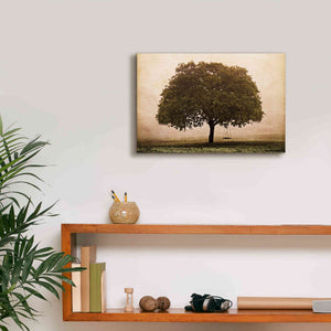 'The Hopeful Oak' by Debra Van Swearingen, Canvas Wall Art,18 x 12