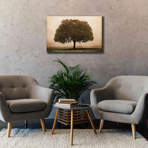 'The Hopeful Oak' by Debra Van Swearingen, Canvas Wall Art,40 x 26