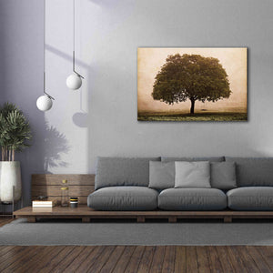 'The Hopeful Oak' by Debra Van Swearingen, Canvas Wall Art,60 x 40