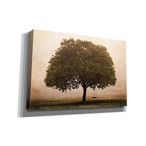 Image of 'The Hopeful Oak' by Debra Van Swearingen, Canvas Wall Art,18x12x1.1x0,26x18x1.1x0,40x26x1.74x0,60x40x1.74x0