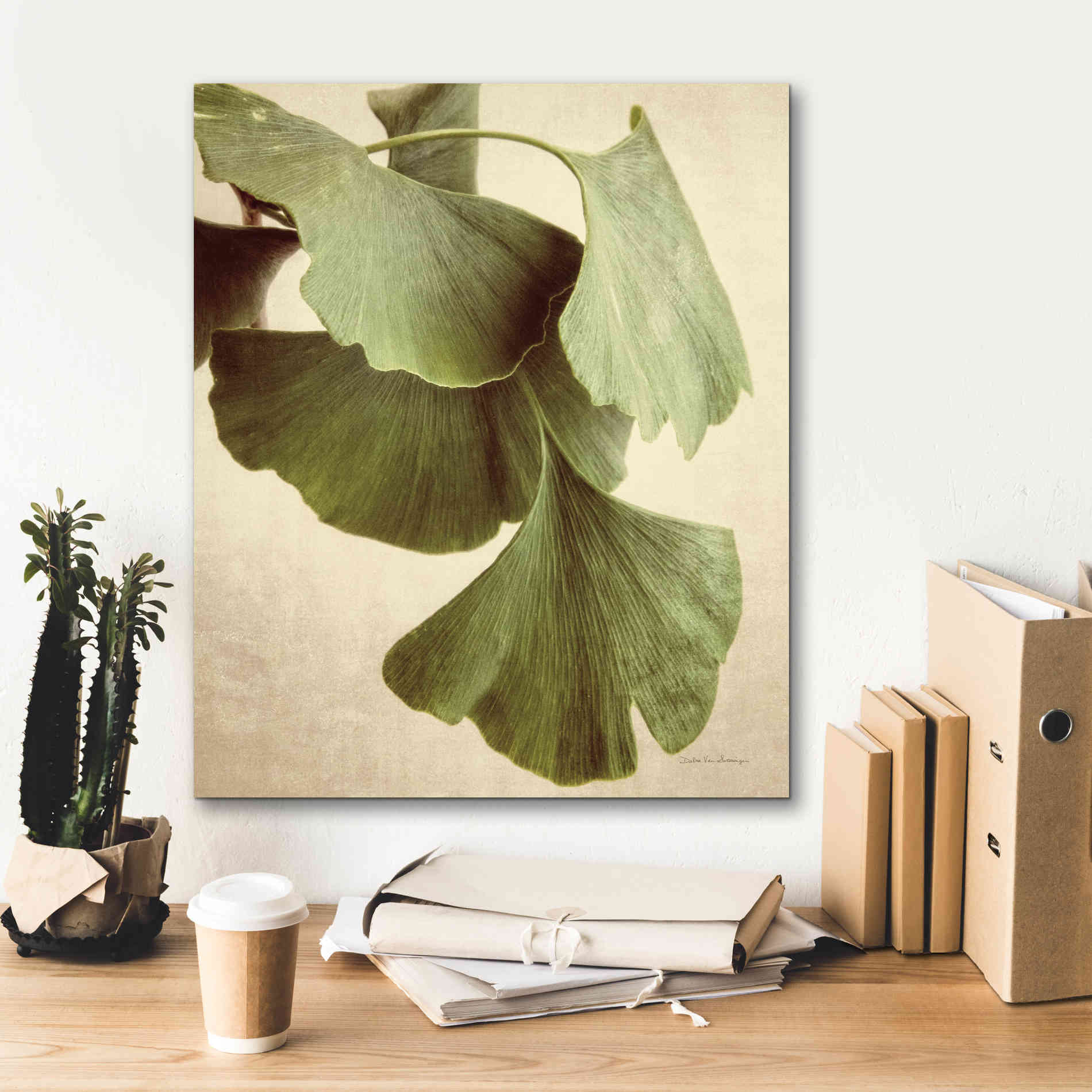 'Gingko Color' by Debra Van Swearingen, Canvas Wall Art,20 x 24