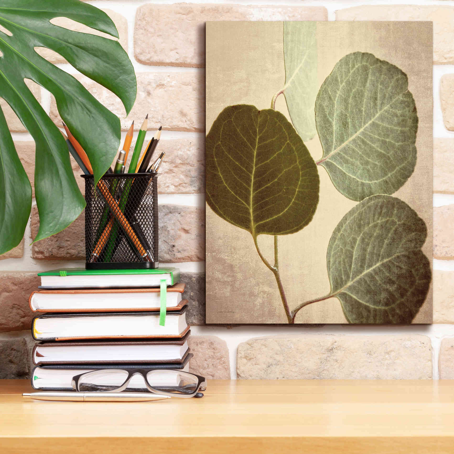 'Eucalyptus Color' by Debra Van Swearingen, Canvas Wall Art,12 x 16