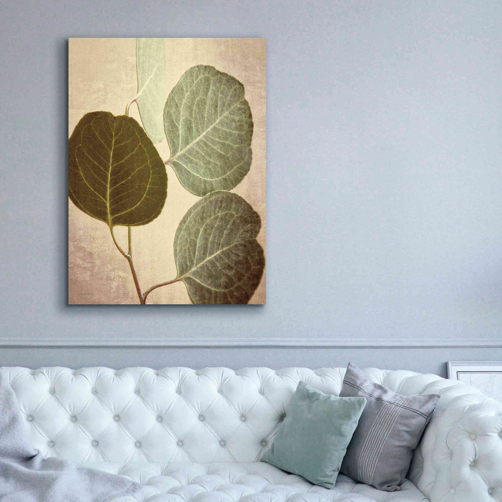 'Eucalyptus Color' by Debra Van Swearingen, Canvas Wall Art,40 x 54