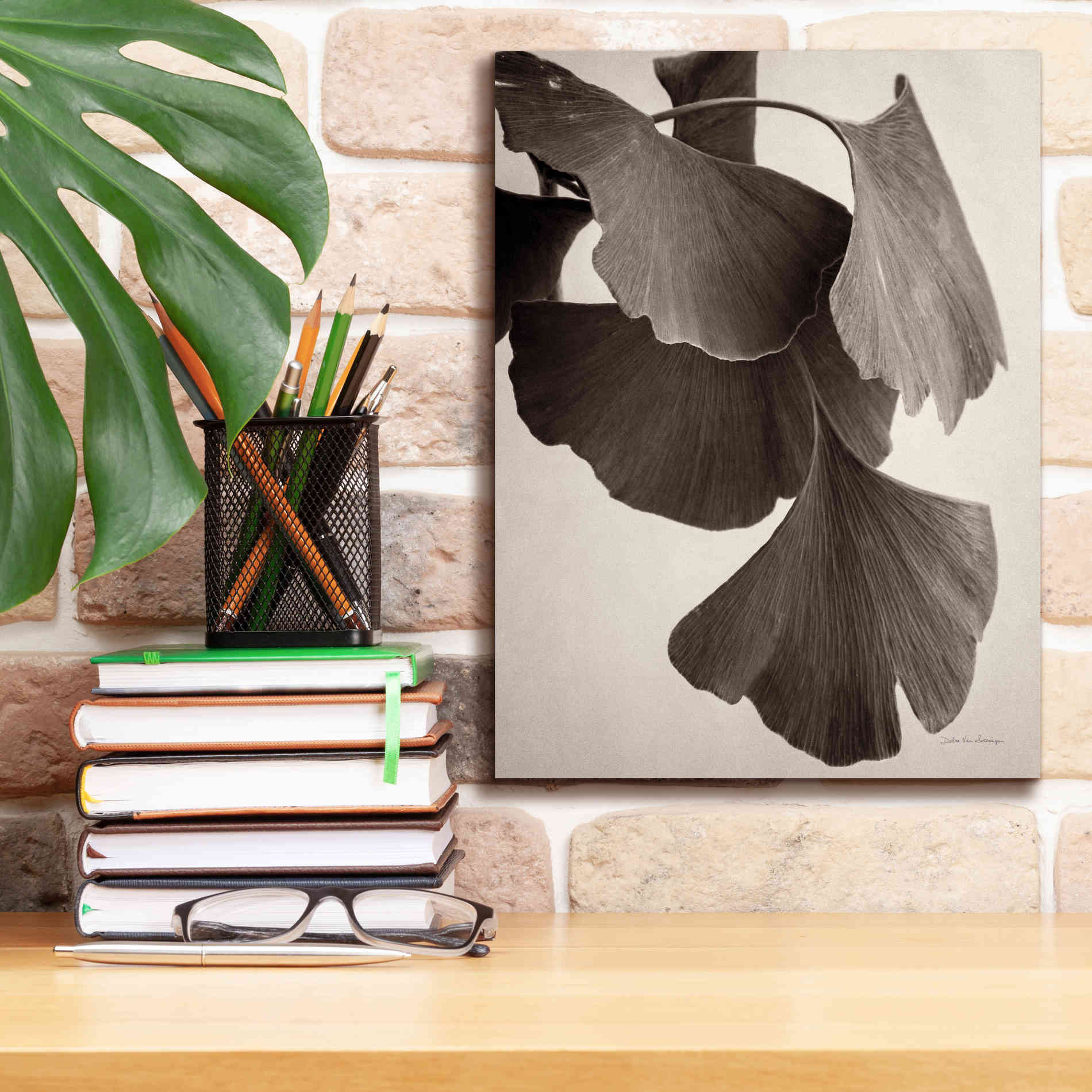 'Gingko Sepia' by Debra Van Swearingen, Canvas Wall Art,12 x 16