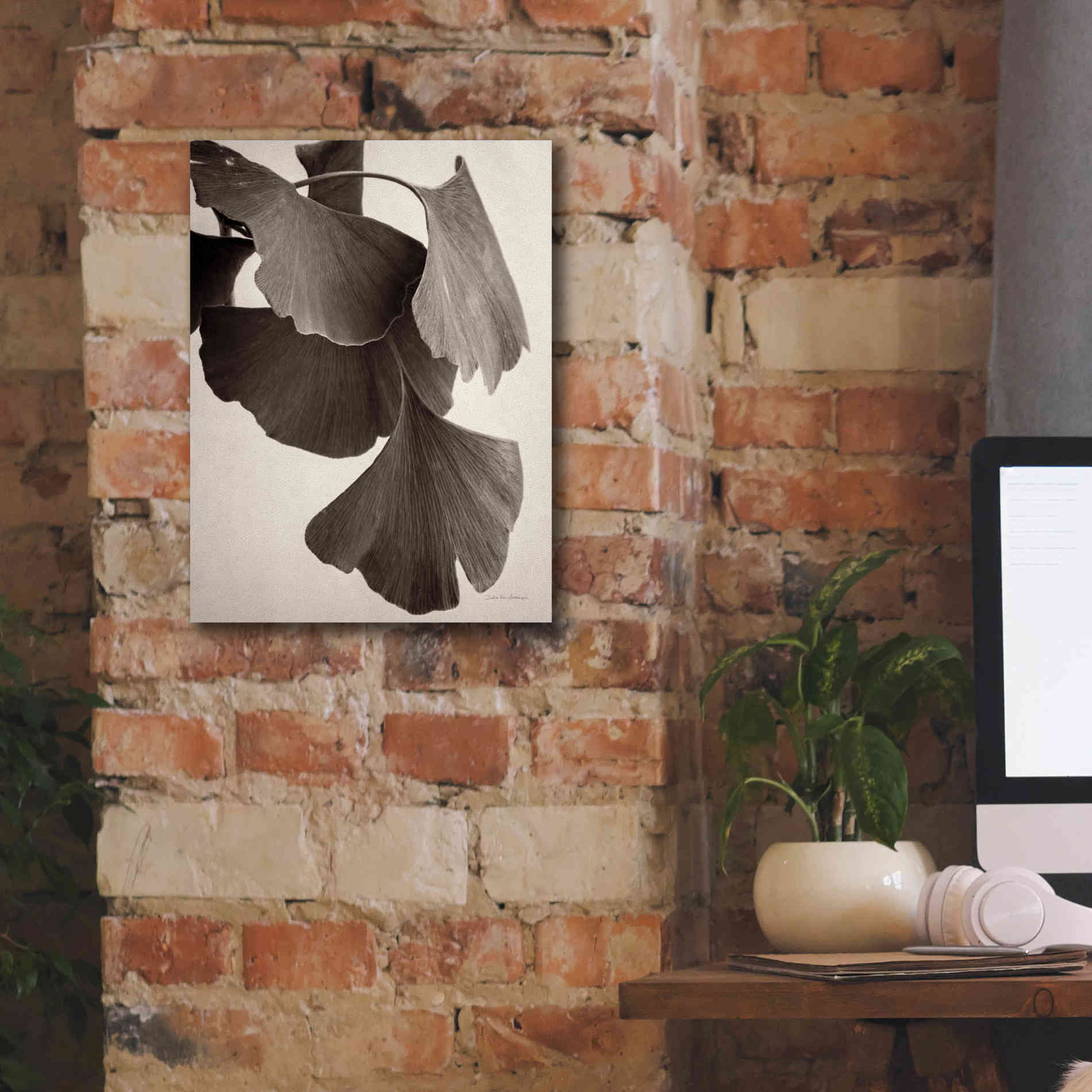 'Gingko Sepia' by Debra Van Swearingen, Canvas Wall Art,12 x 16