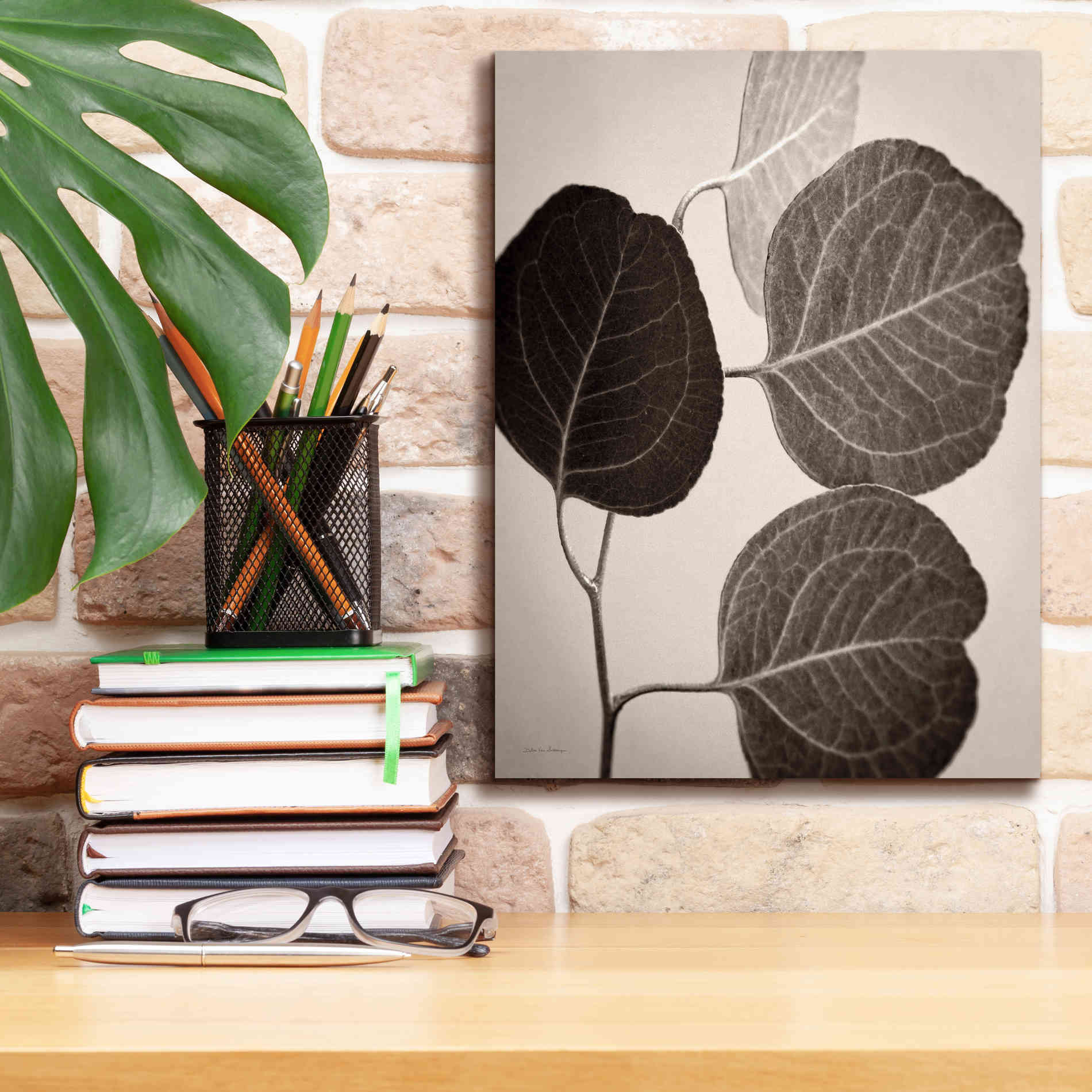 'Eucalyptus Sepia' by Debra Van Swearingen, Canvas Wall Art,12 x 16