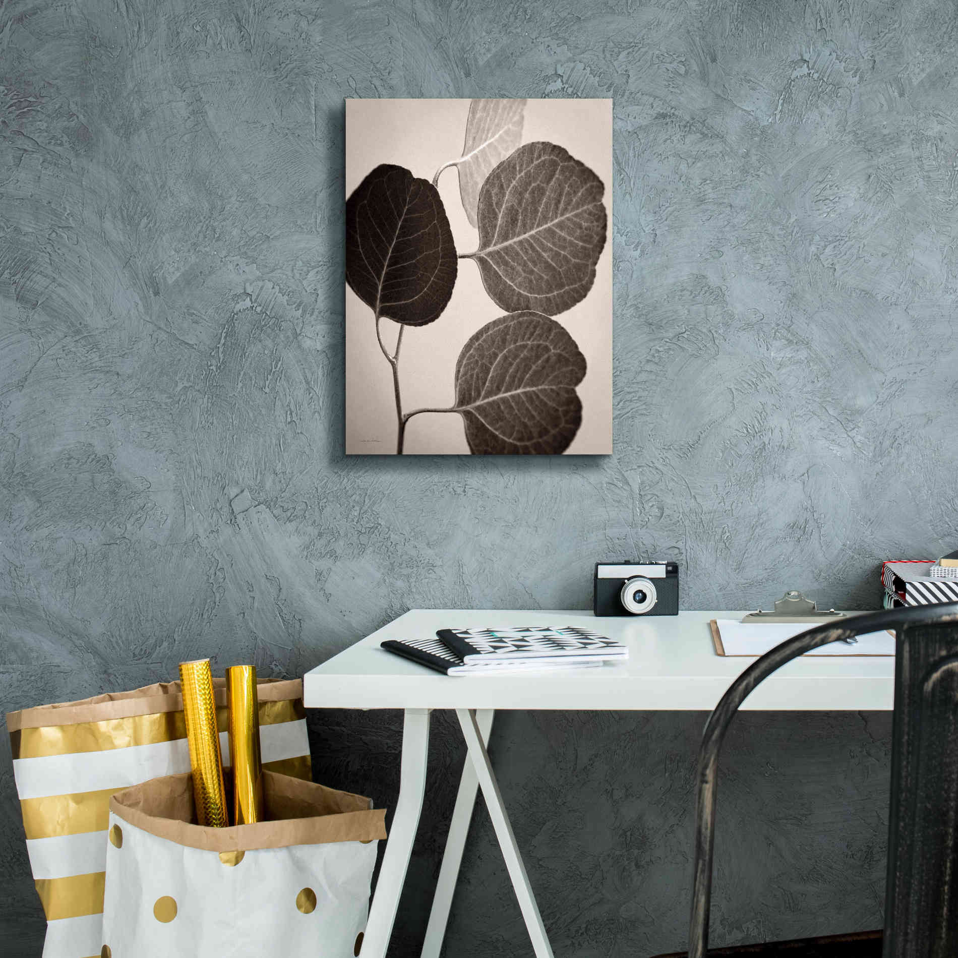 'Eucalyptus Sepia' by Debra Van Swearingen, Canvas Wall Art,12 x 16