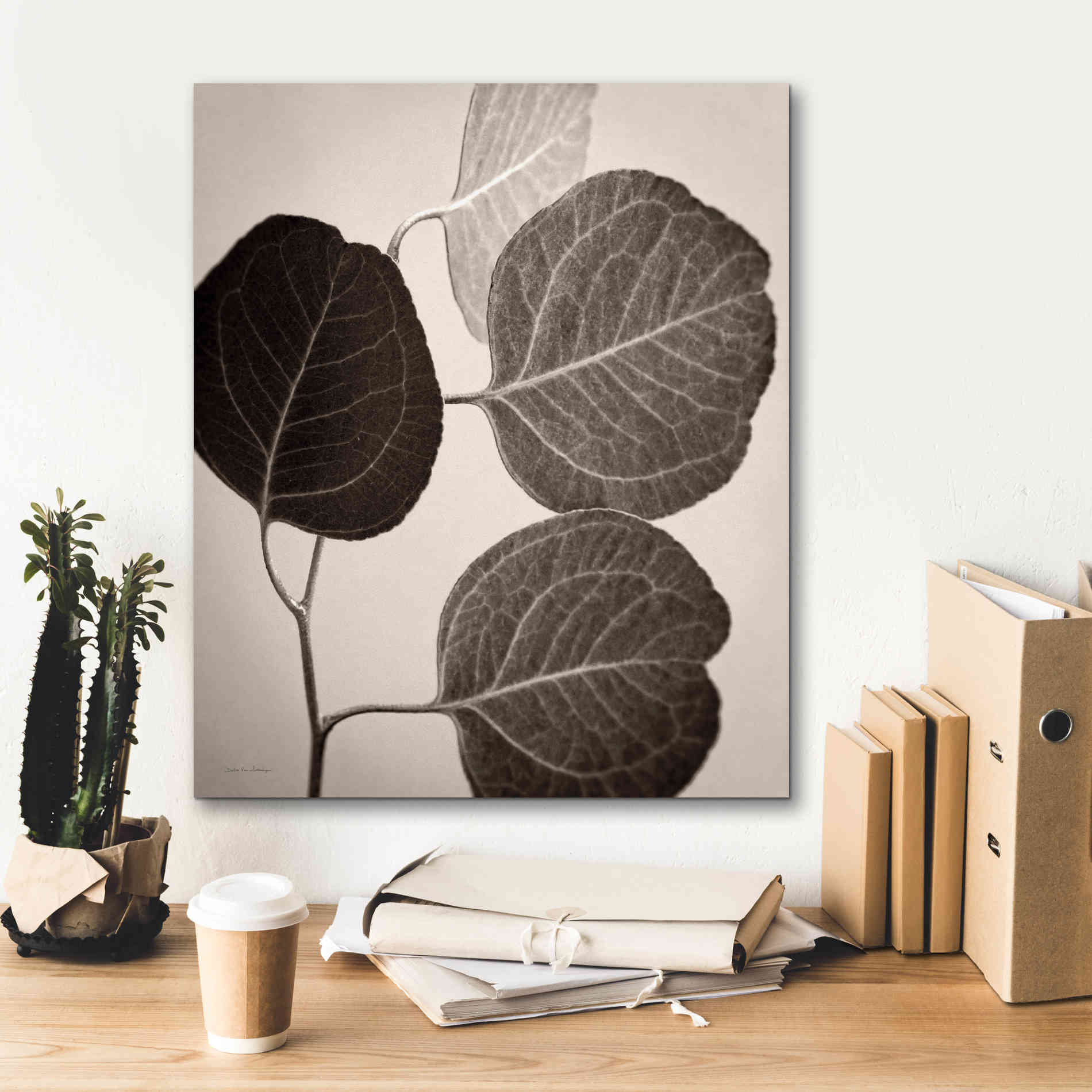 'Eucalyptus Sepia' by Debra Van Swearingen, Canvas Wall Art,20 x 24