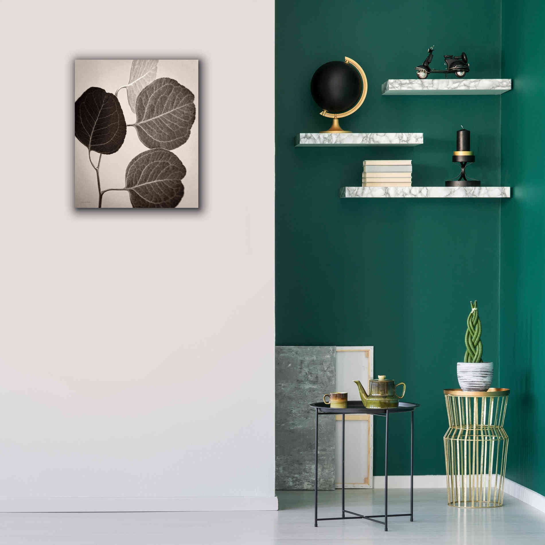 'Eucalyptus Sepia' by Debra Van Swearingen, Canvas Wall Art,20 x 24