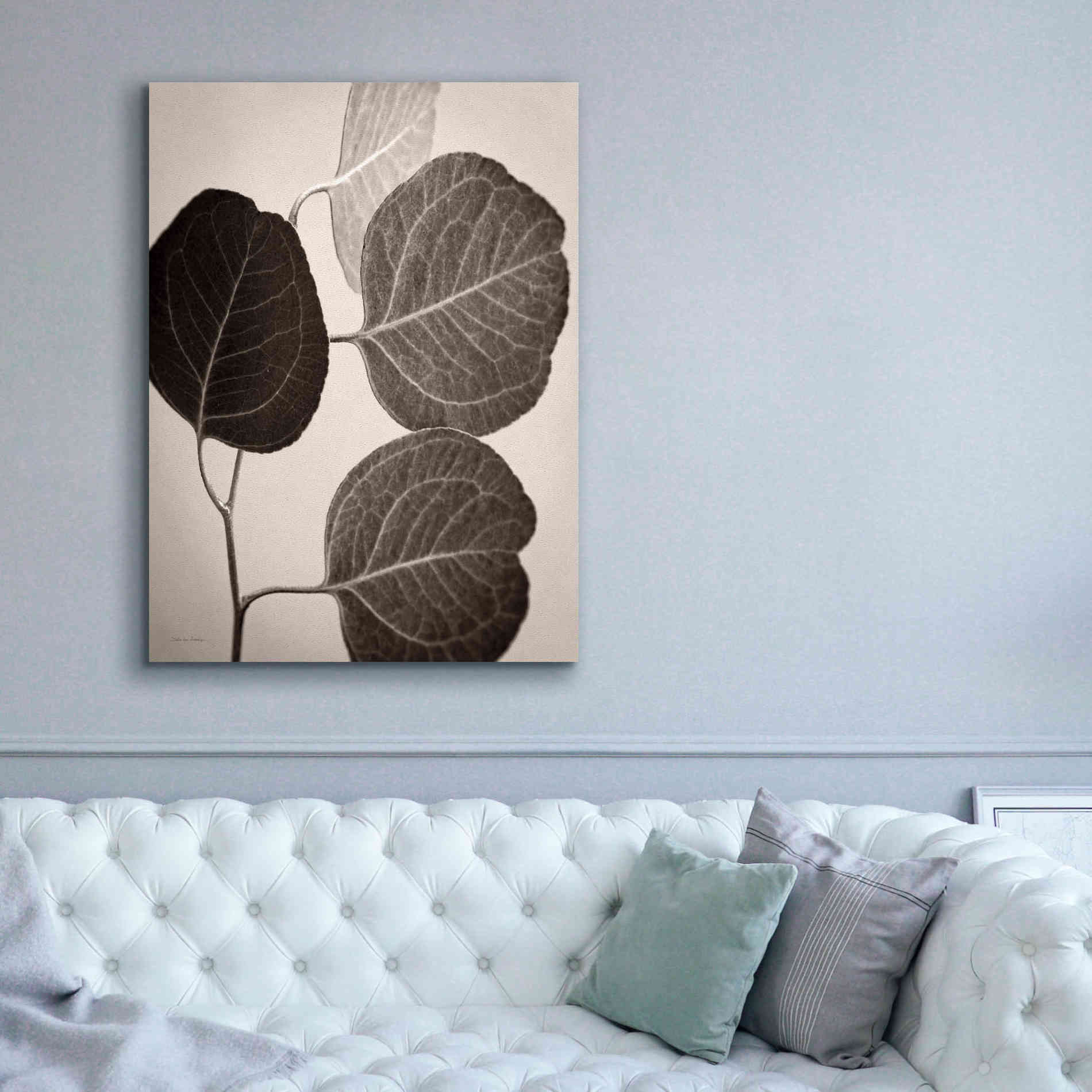 'Eucalyptus Sepia' by Debra Van Swearingen, Canvas Wall Art,40 x 54